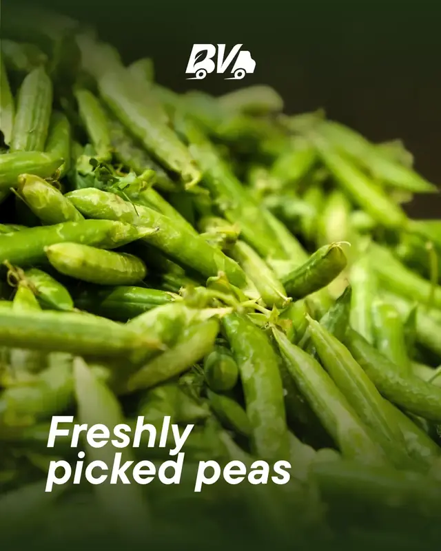Freshly picked peas