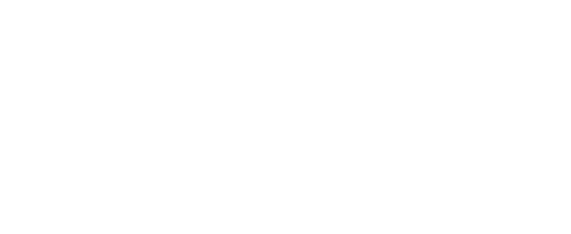 The Nela logo in white on green
