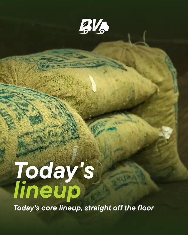 Today's lineup